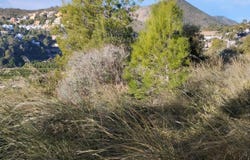Adsubia, Valencian Community 03786
