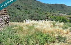 Valsequillo de Gran Canaria, Canary Islands 35217