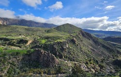 Tunte, Canary Islands 35349