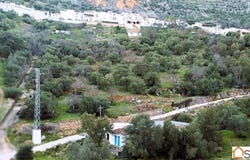 Benaojan, Andalusia 29370