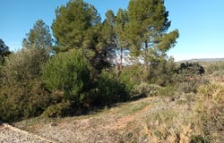 Macastre, Valencian Community