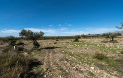 Nijar, Andalusia 04117
