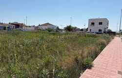 Alicante, Valencian Community 03170