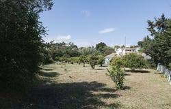 Estepona, Andalusia 29680