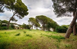 Palamós, Cataluña|Catalonia 17248