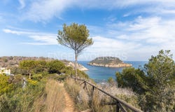 Jávea / Xàbia, Valencian Community 03738