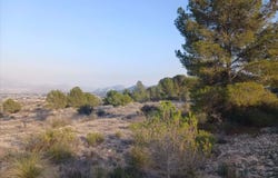 Monóvar/Monòver, Valencian Community