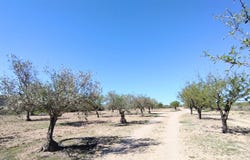 Caudete, Castilla le Mancha 02660