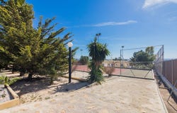 Elche, Valencia 03295