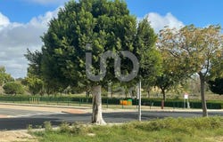 Cartaya, Andalusia 21450