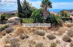Arona, Canary Islands 38652
