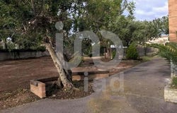 De Mas Roig, Catalonia 43883