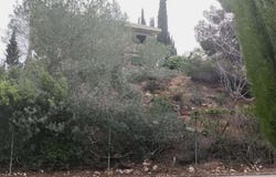 Turís, Valencian Community