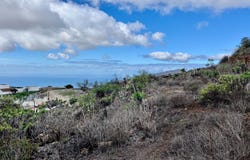 Santa Cruz de Tenerife, Canary Islands 38613