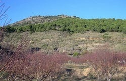 Canillas de Albaida, Málaga