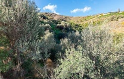 Torrox, Andalusia 29770