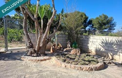 Guadassuar, Valencian Community 46610