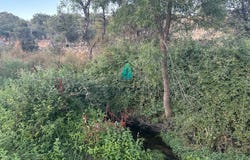 Fresnedillas de la Oliva, Community of Madrid 28214