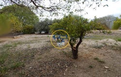 Ontinyent, Valencian Community 46870