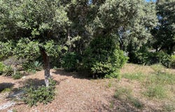Sa Pobla, Balearic Islands 07420