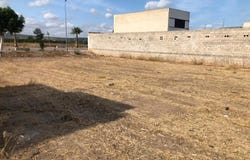 Càrcer, Valencian Community