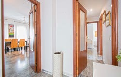 Sevilla, Andalusia 41020