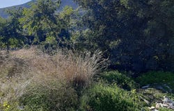 Pego, Valencian Community 03780