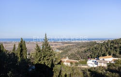 Dénia, Valencian Community 03780