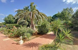 Alaior, The Balearic Islands 07730