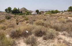 Agost, Valencian Community