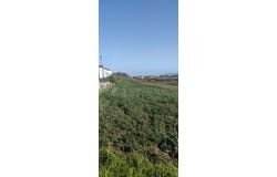 San Cristóbal de La Laguna, Canary Islands