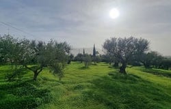 Alhaurin El Grande, Malaga 29120