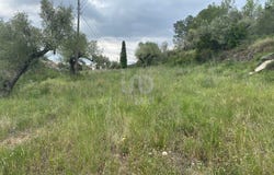 Tarragona, Catalonia 43392