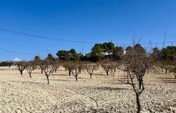 Bullas, Murcia