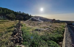 Vilaflor, Canary Islands 38613