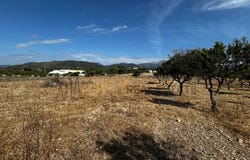 Inca, Balearic Islands 07300