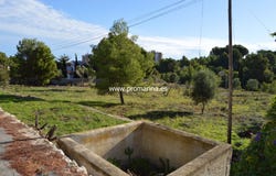 Denia, Valencian Community 03700