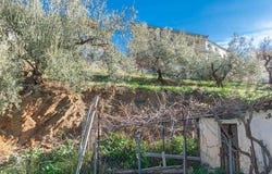 Corumbela, Málaga