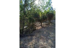 Barcelona, Catalonia 08211