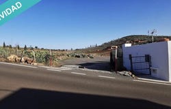Ingenio, Canary Islands 35250