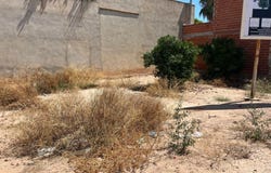 Albuixech, Valencian Community 46550
