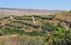 CARRETERA A-348, Illar, Andalusia 04431