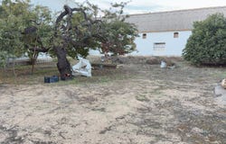 Cartaya, Andalusia 21450
