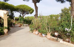 Bonares, Andalusia 21830