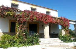 Lora del Río, Andalusia 41440