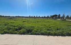 Campillos, Andalusia 29320