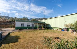 Amposta, Catalonia 43870