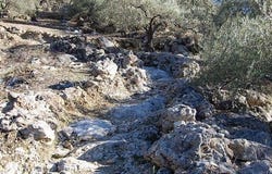 Canillas de Albaida, Málaga