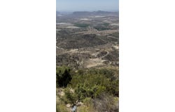 Elda, Elda, Valencian Community 03600