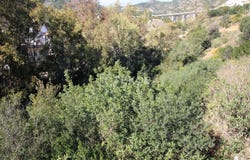 Benalmádena, Andalusia 29639